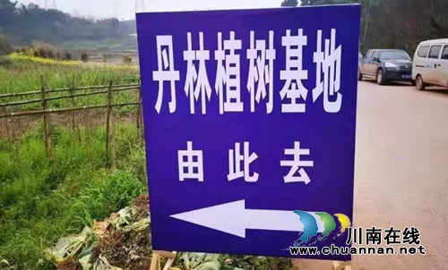 绿水青山就是金山银山，江阳法院植树啦！(图6)