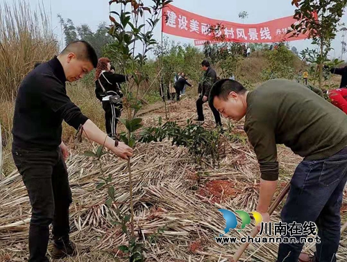 绿水青山就是金山银山，江阳法院植树啦！(图7)