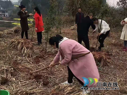 绿水青山就是金山银山，江阳法院植树啦！(图10)