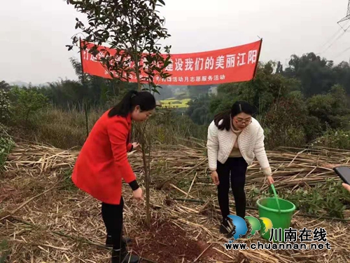 绿水青山就是金山银山，江阳法院植树啦！(图9)