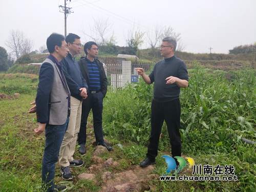 杨怀清到泸县立石镇调研河长制工作(图1)