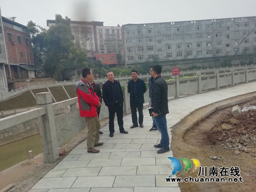 泸县政协副主席杜开卷到海潮镇调研污水管网建设工作(图1)