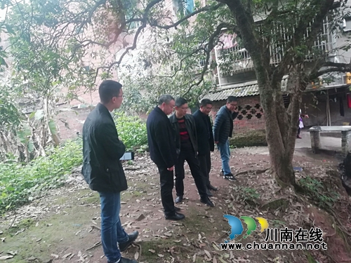 泸县政协副主席杜开卷到海潮镇调研污水管网建设工作(图2)