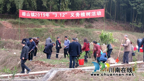 合江县榕山镇开展义务植树活动(图2)