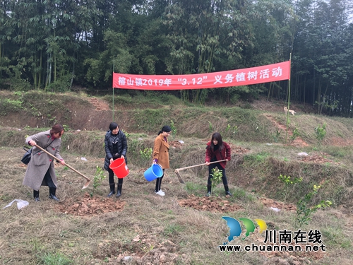合江县榕山镇开展义务植树活动(图1)