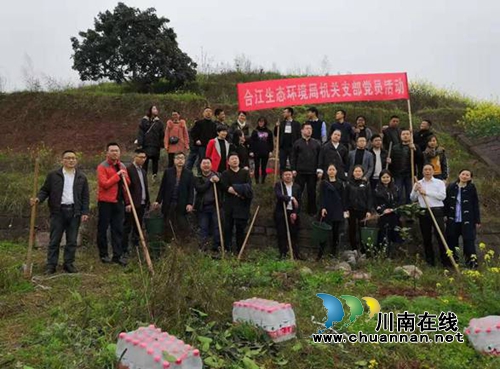 合江县生态环境局开展义务植树活动(图1)