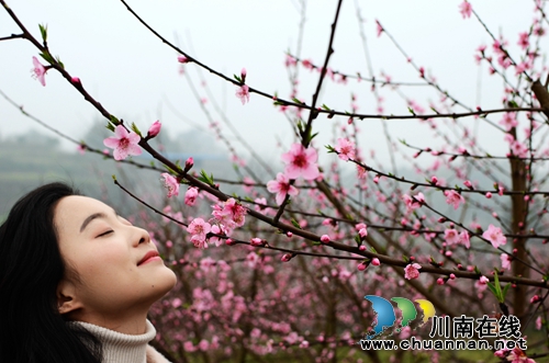 郊游好去处，快来双加十里渔湾生态园赏桃花(图1)