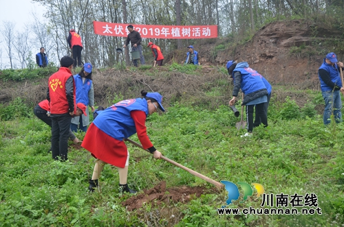 泸县太伏镇开展2019年植树活动(图1)