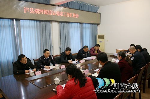 副县长宋军到泸县潮河镇督查信访稳定工作(图1)