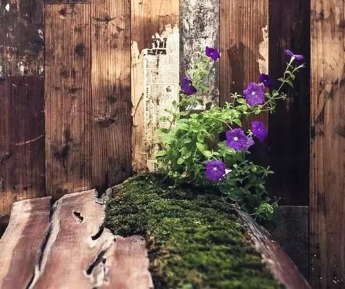 220㎡院落别墅：与她收藏人生的静好(图1)