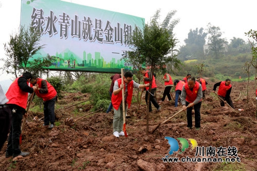 江阳区4000余名干部群众义务植树39850株(图1)