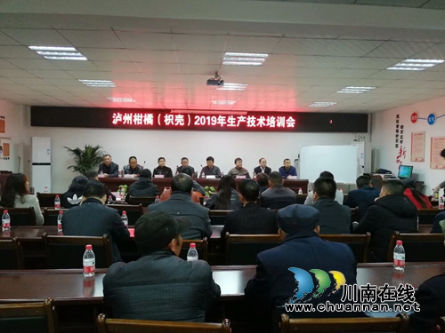 泸州市柑橘(枳壳)2019年生产技术培训会在泸县太伏镇召开(图2) 泸州市柑橘(枳壳)2019年生产技术培训会在泸县太伏镇召开(图2)