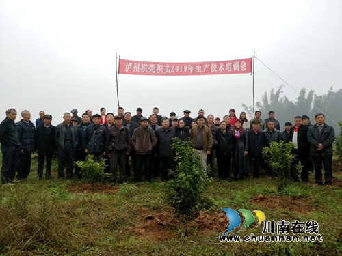 泸州市柑橘(枳壳)2019年生产技术培训会在泸县太伏镇召开(图3) 泸州市柑橘(枳壳)2019年生产技术培训会在泸县太伏镇召开(图3)