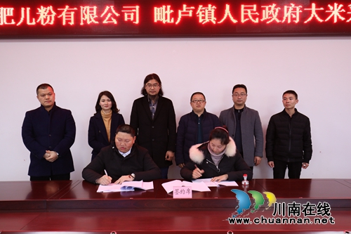 百年品牌泸州肥儿粉升级&nbsp;帮扶优质稻谷基地(图4)