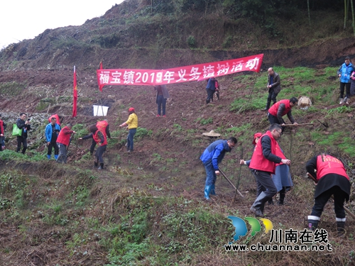 合江县福宝镇开展义务植树活动(图1)