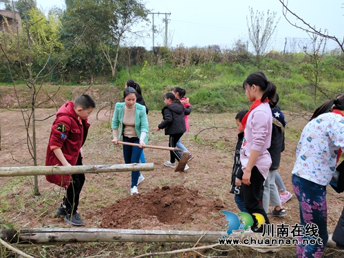 泸县立石镇团结小学开展“争做护绿小使者”植树活动(图1)