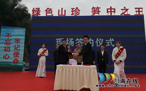 天骄雷笋原生态种植为泸州特色农业发展创新路(图4)