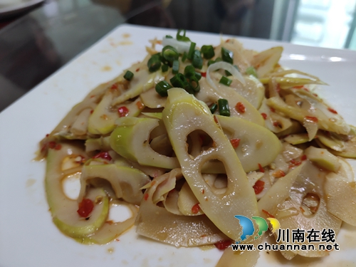 天骄雷笋原生态种植为泸州特色农业发展创新路(图9)