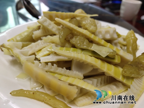 天骄雷笋原生态种植为泸州特色农业发展创新路(图8)