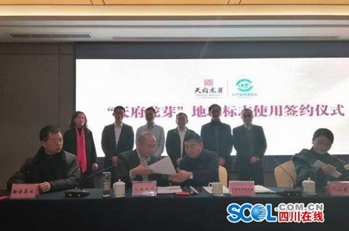 四川36家茶企可用“天府龙芽”地标(图1)