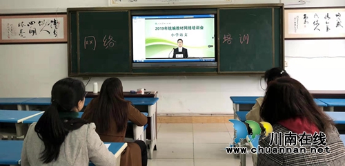 龙马潭区下大街小学：《语文》部编教材网络学习(图1)