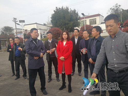 泸州市城管执法局调研泸县云龙镇农村生活垃圾分类工作(图1)