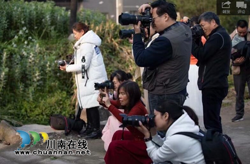 泸县摄影家协会开展春季采风活动(图2)