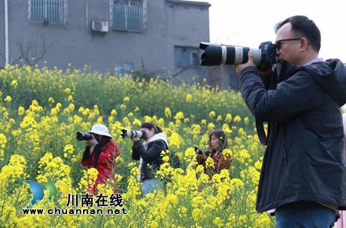 泸县摄影家协会开展春季采风活动(图3)