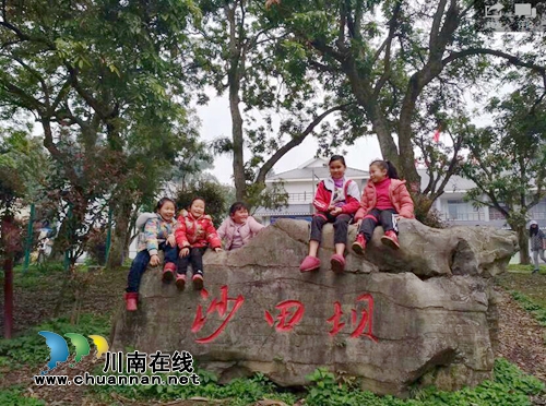 泸县摄影家协会开展春季采风活动(图4)