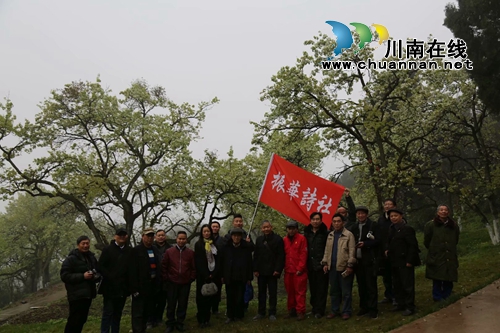 泸县云锦镇振华诗社开展采风活动(图2)