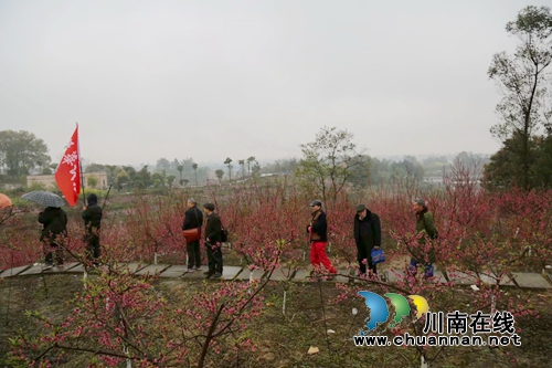 泸县云锦镇振华诗社开展采风活动(图3)