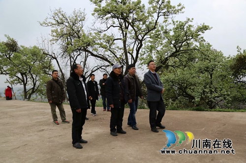 市县作家开展“春暖云锦、诗意烟霞”采风活动(图2)