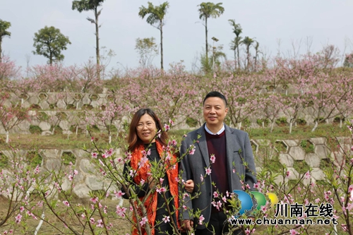 市县作家开展“春暖云锦、诗意烟霞”采风活动(图3)