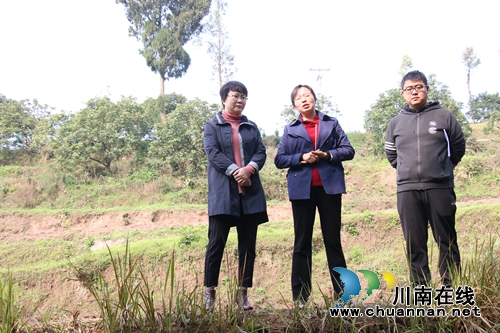 陈佳督导怀安河流域河长制及水域安全工作(图4) 陈佳督导怀安河流域河长制及水域安全工作(图4)