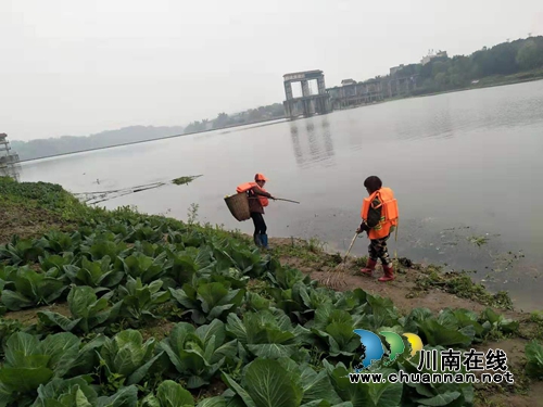 泸县海潮镇开展河道沿岸垃圾及水面垃圾漂浮物清理专项行动(图1)