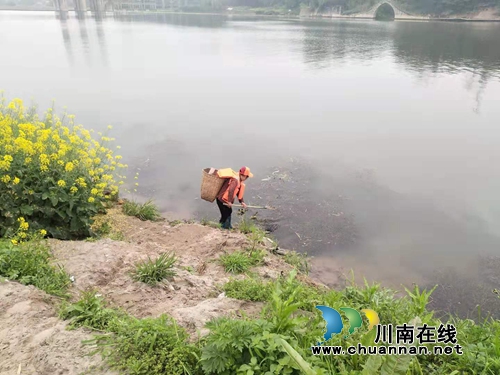 泸县海潮镇开展河道沿岸垃圾及水面垃圾漂浮物清理专项行动(图2)