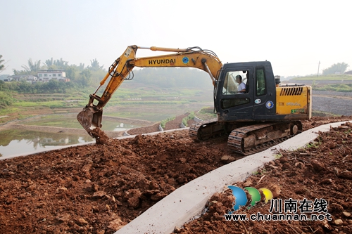 泸州龙马潭:春分时节忙生产 政府搭台产业兴(图1) 泸州龙马潭:春分时节忙生产 政府搭台产业兴(图1)