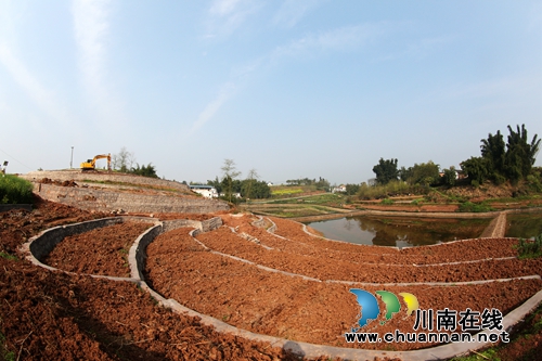 泸州龙马潭:春分时节忙生产 政府搭台产业兴(图2) 泸州龙马潭:春分时节忙生产 政府搭台产业兴(图2)