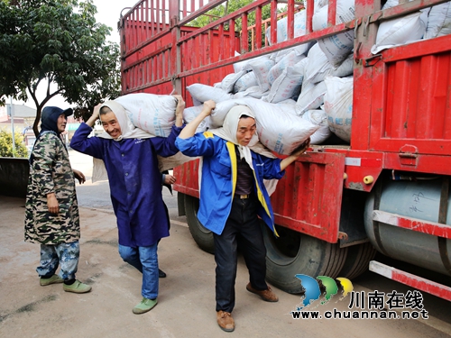 泸州龙马潭:春分时节忙生产 政府搭台产业兴(图3) 泸州龙马潭:春分时节忙生产 政府搭台产业兴(图3)