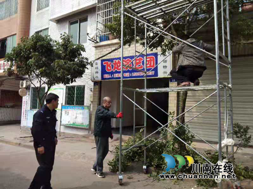龙马潭区特兴街道：修剪树枝给“天网”擦亮“眼睛”(图1)