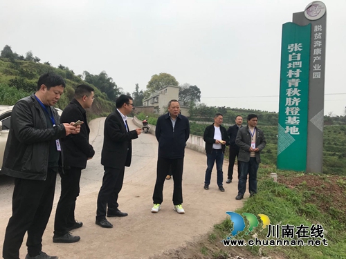 合江县政协主席李子辉率队到望龙镇调研(图1)