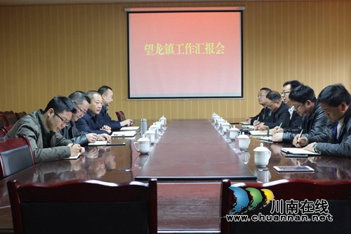 合江县政协主席李子辉率队到望龙镇调研(图3)