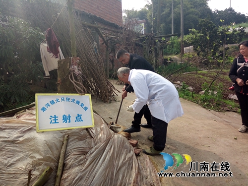 泸县潮河镇全面开展狂犬病防疫注射工作(图1) 泸县潮河镇全面开展狂犬病防疫注射工作(图1)