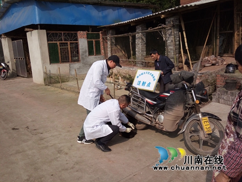 泸县潮河镇全面开展狂犬病防疫注射工作(图4) 泸县潮河镇全面开展狂犬病防疫注射工作(图4)
