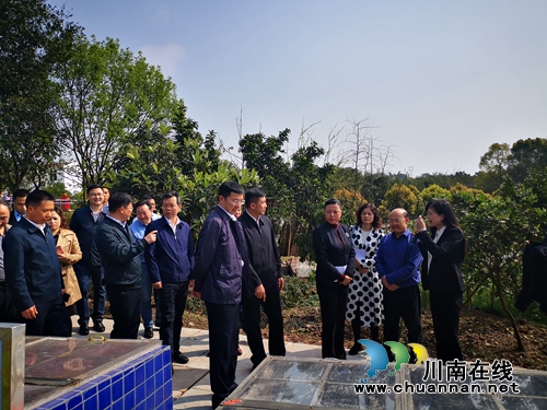 泸州市农村垃圾分类收集处理现场会召开(图3)