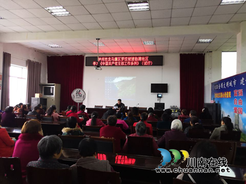 龙马潭区罗汉街道组织学习《中国***支部工作条例》(图1)