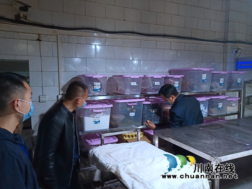 龙马潭区罗汉街道：开展学校食品安全检查&nbsp;维护学生安全健康利益(图2)