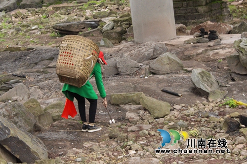 龙马潭区金龙镇开展“世界水日”保护水源志愿服务活动(图3)