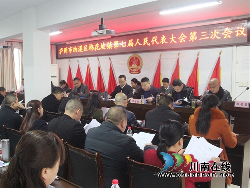 纳溪区棉花坡镇第七届人代会第三次会议胜利召开(图1) 纳溪区棉花坡镇第七届人代会第三次会议胜利召开(图1)