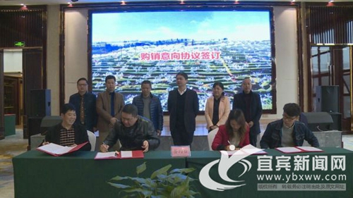 宜宾屏山茵红李推介会&nbsp;联手全国果商打开销路(图2)